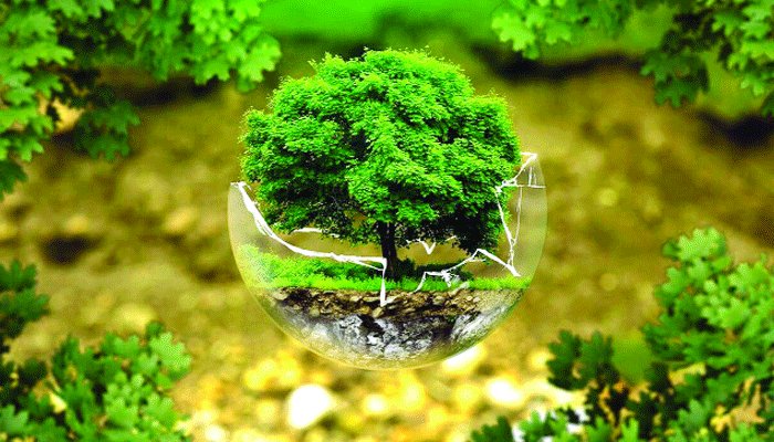 Global Recycling Day: পরিবেশ রক্ষায় পুনর্ব্যবহারের গুরুত্ব (১৮ মার্চ)